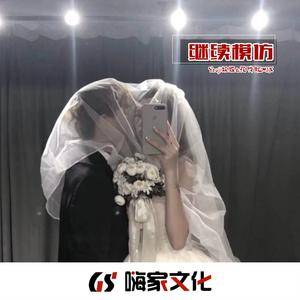 姐姐微信来了（DJ版）